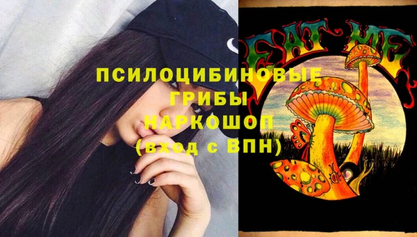 дживик Алзамай