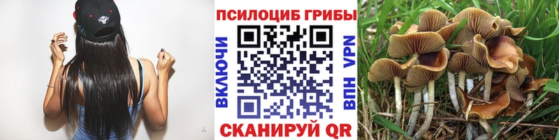 Псилоцибиновые грибы Magic Shrooms цена Вытегра